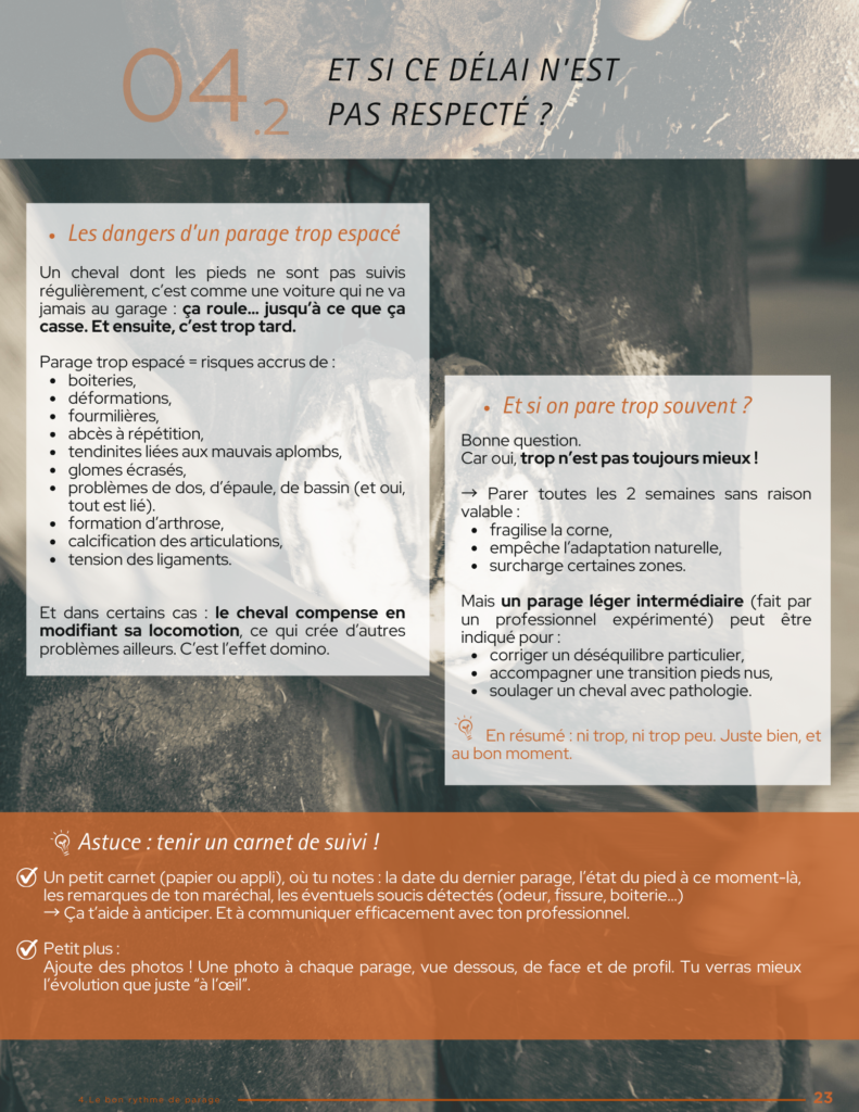 Home comprendre et entretenir les pieds de ton cheval