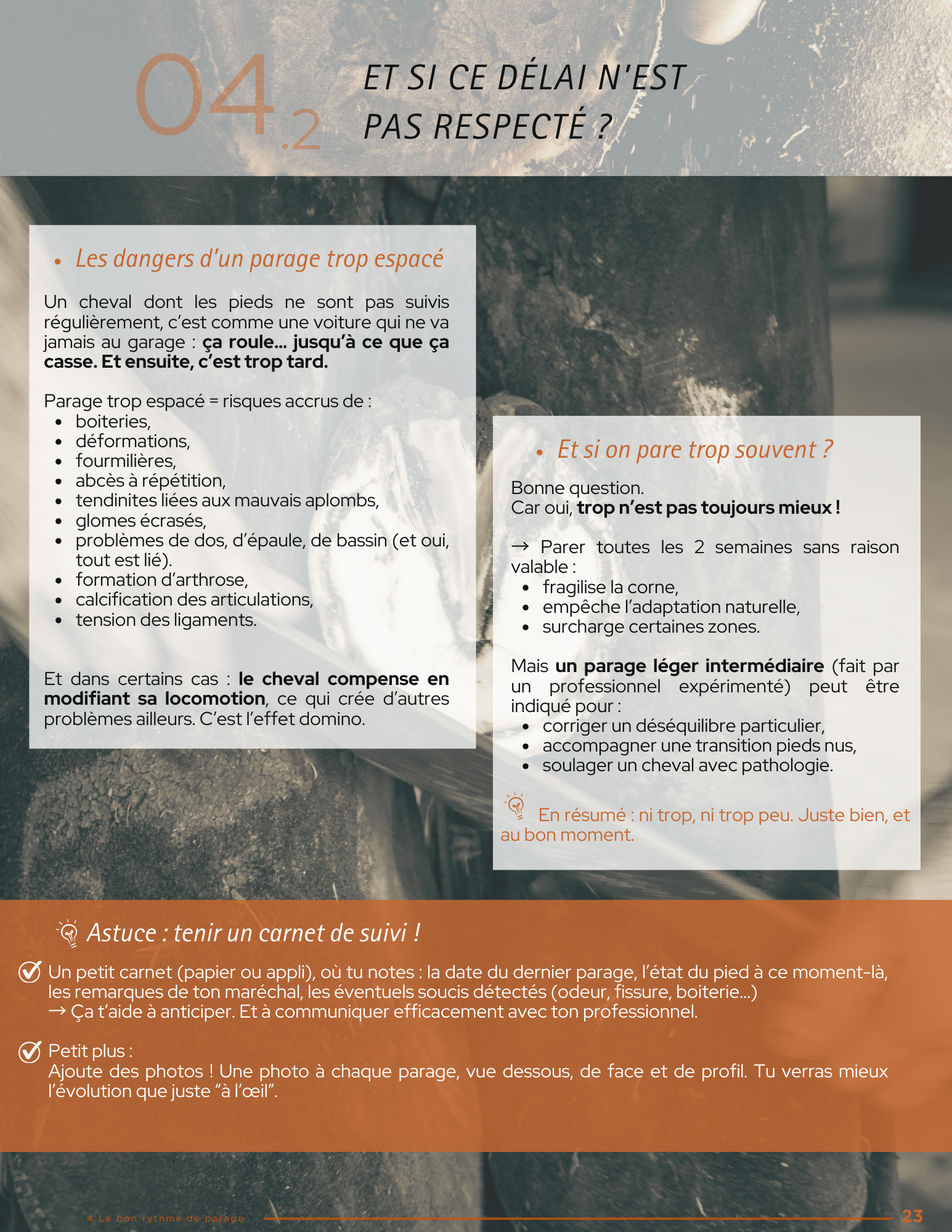 comprendre et entretenir les pieds de ton cheval comprendre et entretenir les pieds de ton cheval