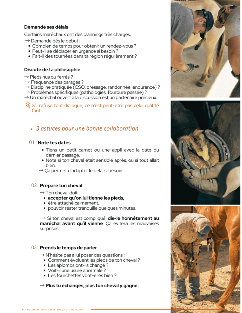 Home comprendre et entretenir les pieds de ton cheval