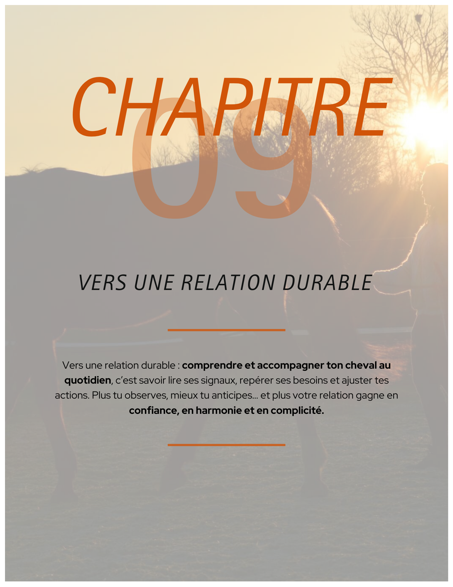 comprendre et entretenir les pieds de ton cheval comprendre et entretenir les pieds de ton cheval