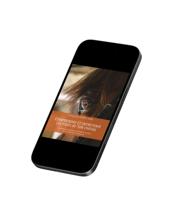 Home design sans titre (3)