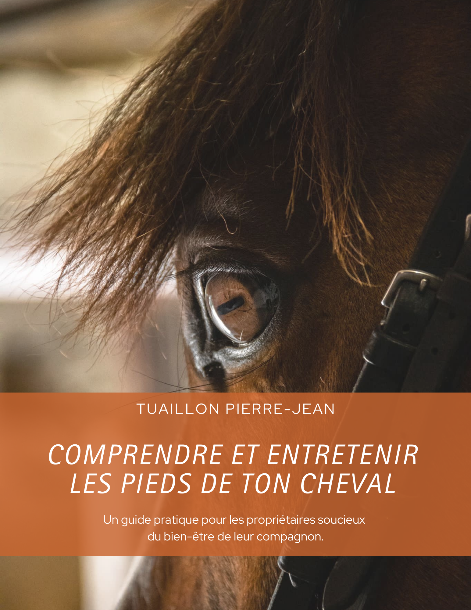 comprendre et entretenir les pieds de ton cheval comprendre et entretenir les pieds de ton cheval